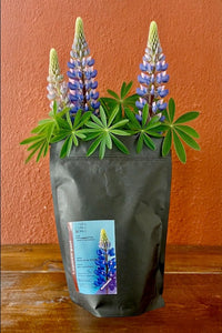 Lupinen pur!